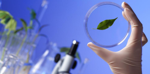 聚焦生命科学前沿 知名生物学期刊与自然科学研究的发展