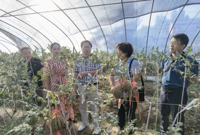 齐鲁农业专家重庆行 科技赋能农业发展的探索与实践