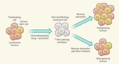 探索自然奥秘 自然科学研究的重大发现与深远意义