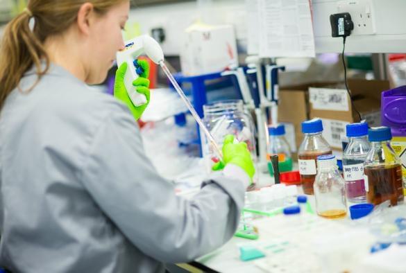 英国大学和学科也有“双一流”？揭秘巅峰联盟背后的学脉传承与创新实力